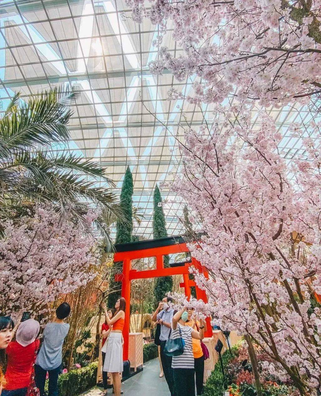 坡坡玩樂指北 你的Good Friday假期攻略已到達,請簽收