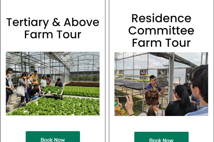 種水稻，摘蘑菇，新鮮蘆荟飲品！藏在新加坡的7大蔬菜農場我找到啦