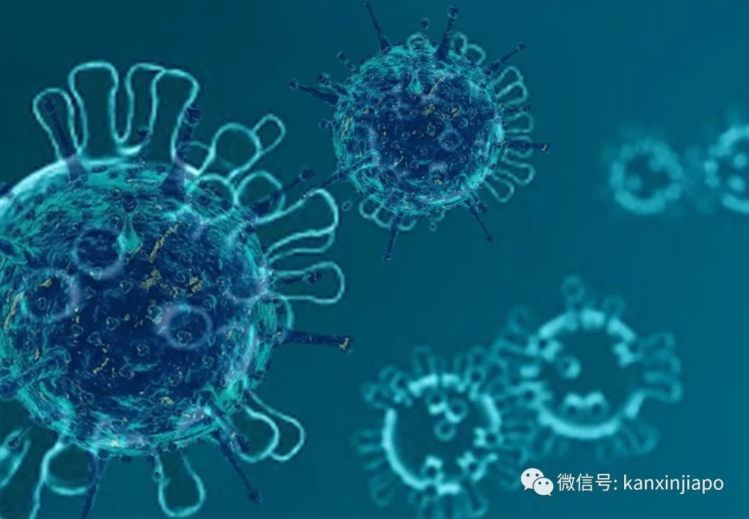 新加坡惊现变种冠病病毒！专家：暂无证据显示病毒传染力更强