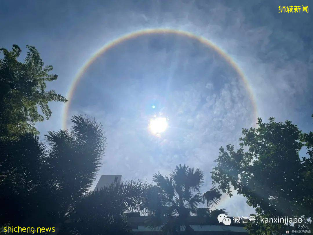 罕见!新加坡出现日晕,祥瑞之兆