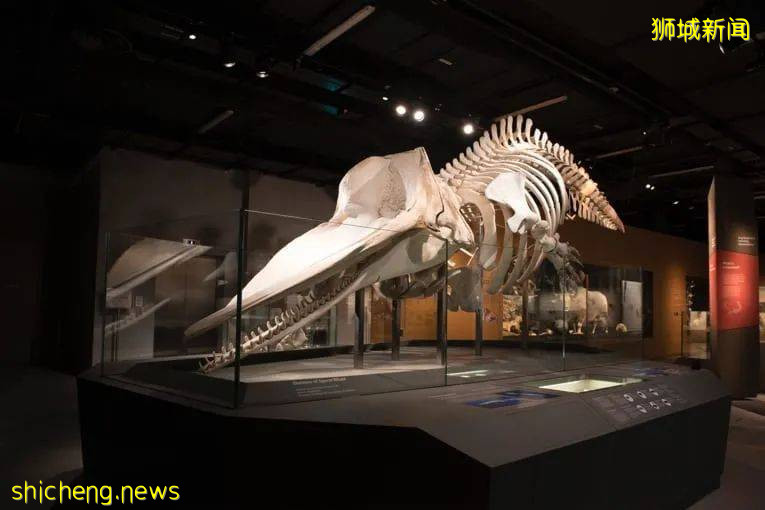 【周末活動】8月這一波清倉瘋搶啊