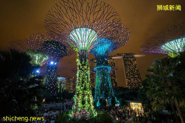 北京广州重庆“堵成狗”,小小新加坡却不堵车?这5原因一针见血