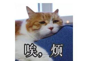 新加坡情緒調查出爐，關鍵詞：後疫情、90%、失業、努力