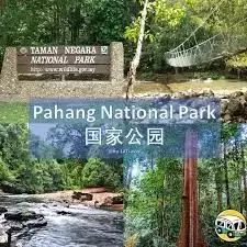 新加坡马来西亚VTL旅游最强攻略!机酒景点信息全都有