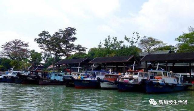 新加坡最后一个原生态农村，村民不到百人，过着悠闲自在的生活