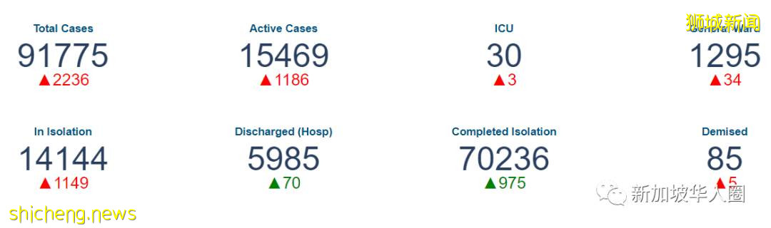 2268例！再8人死亡！新加坡死亡病例激增！与冠病共存还继续吗​