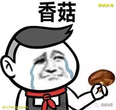 最全名字來曆大起底!新加坡綠線36個地鐵站,你知多少