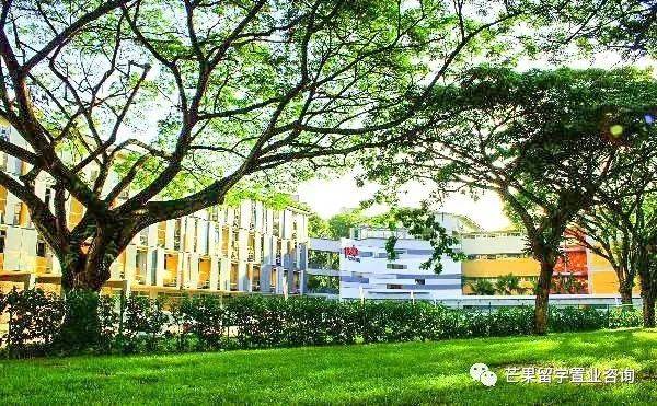 新加坡三育中小學無需參加AEIS考試入學(留學、升學及申請條件)