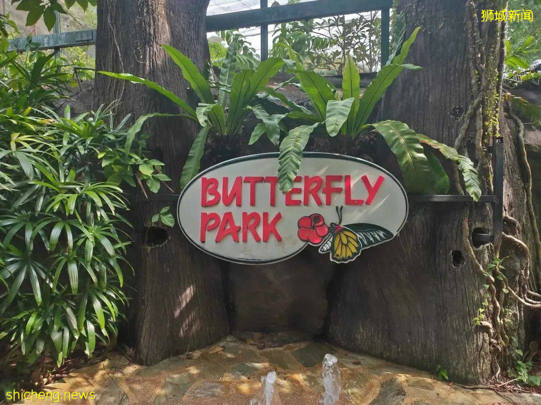 新加坡下周一預計可5人堂食！繼續撒12億補貼！1300個中國客工將會來坡