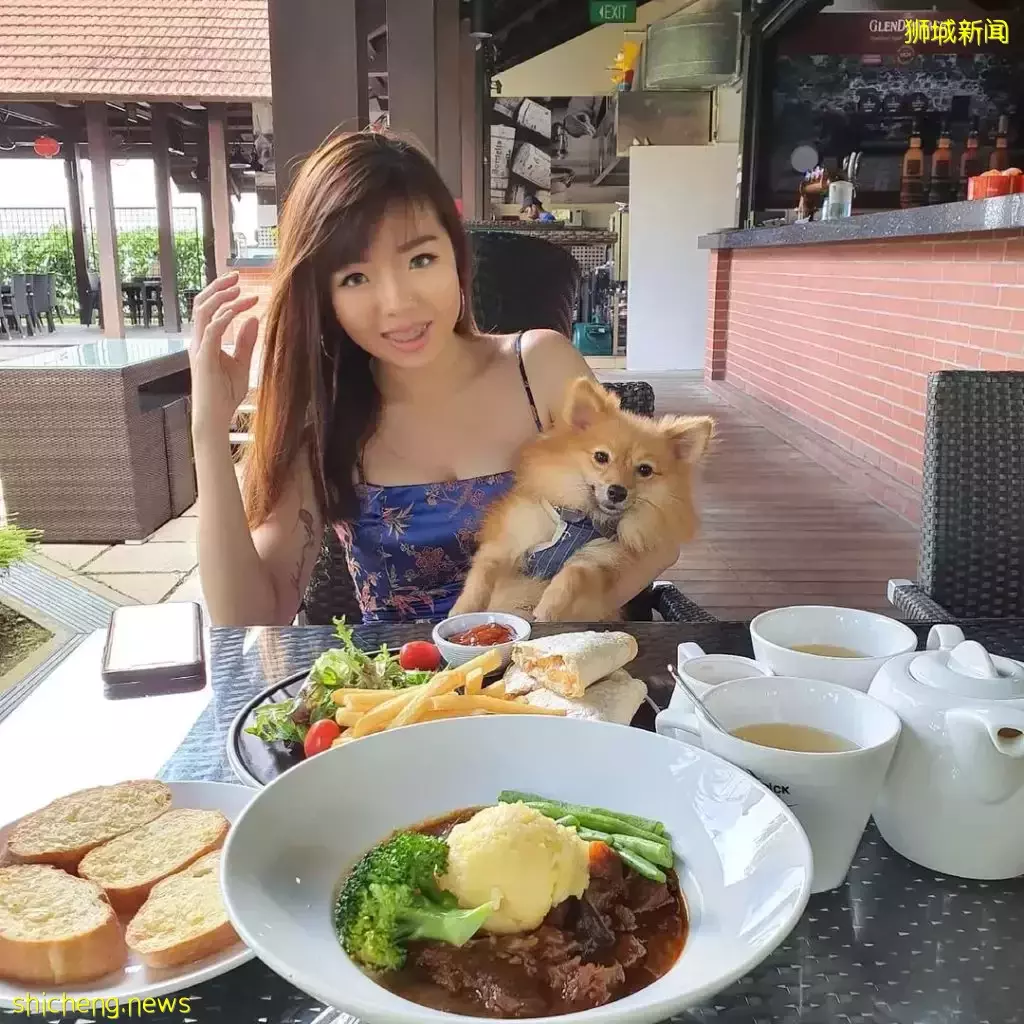 吃喝撸狗兩不誤！新加坡15家寵物友好咖啡廳 · 快上小可愛一起去體驗吧