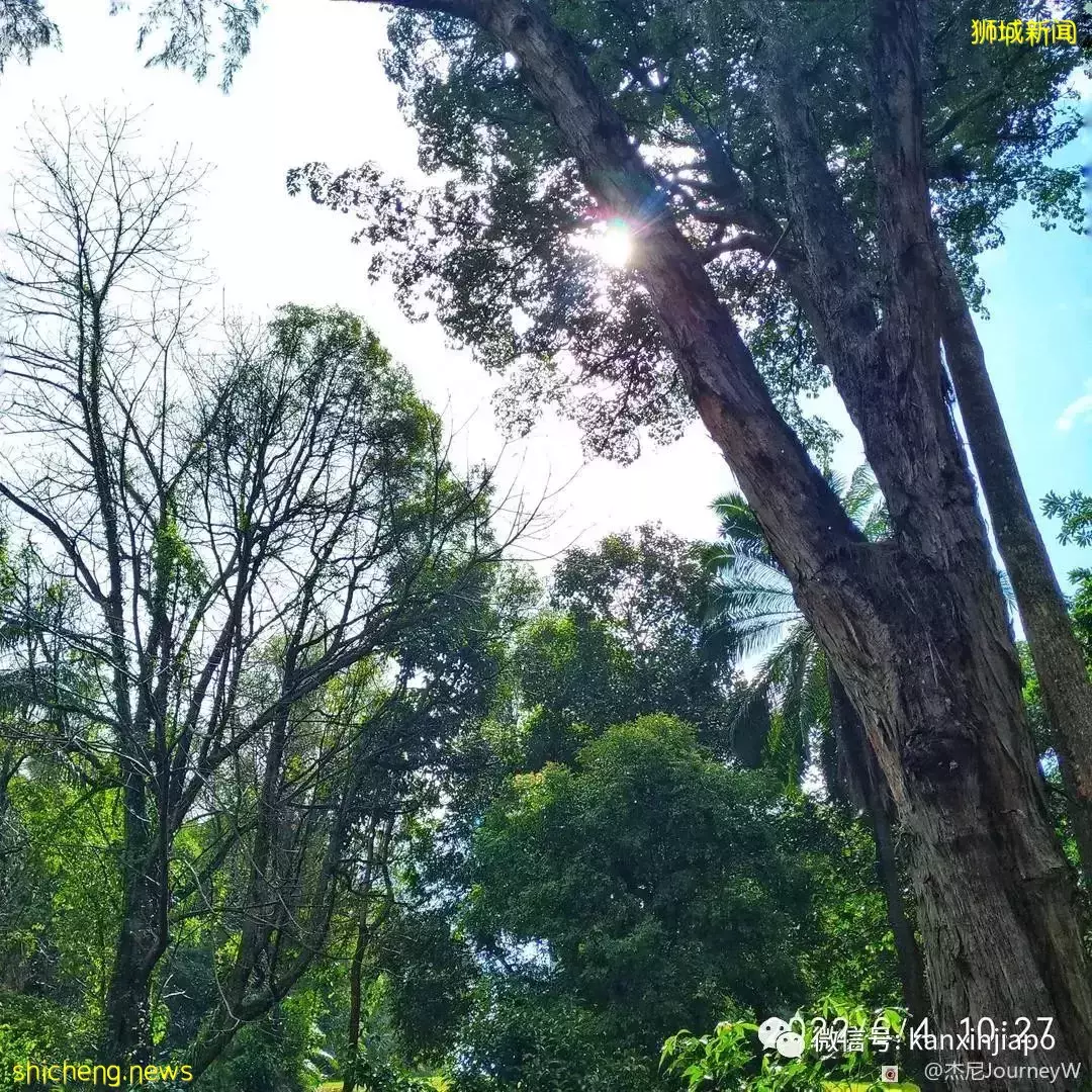 新加坡离岛攻略,半个多小时便能收获美景天堂