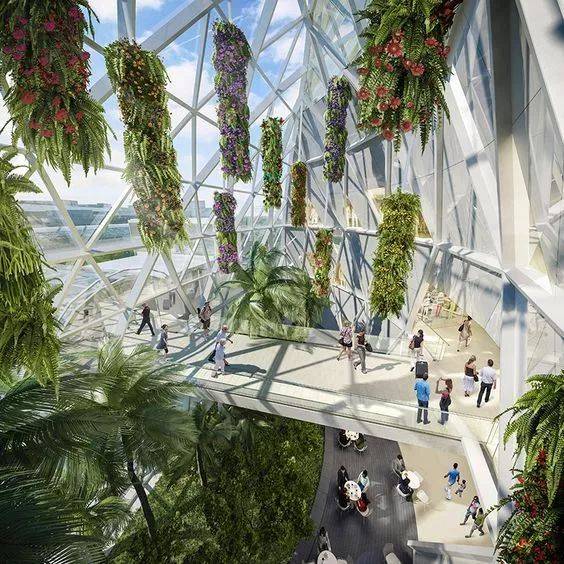 新加坡樟宜機場全方位解讀