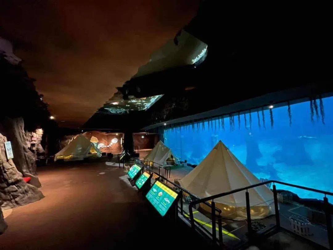 新加坡遛娃新去处!到河川生态园喂海牛,给孩子不一样的staycation