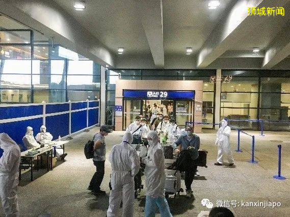 最新經驗分享,從新加坡飛上海我經曆了啥