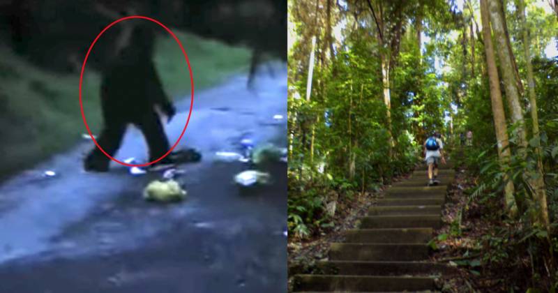 細思恐極！新加坡夜間徒步愛好者聲稱遇上了“武吉知馬猴人”，還拍下了照片