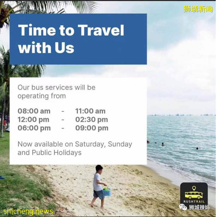 $1起!全新2條巴士線,去夏氏牧場、青蛙農場、東海岸再也不用打車啦