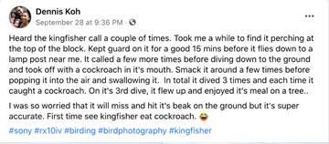 百年一见,新加坡又现稀有蛇种