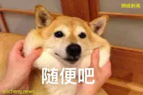 "在新加坡医院做了个小手术,错漏百出,我差点就原地去世了……"