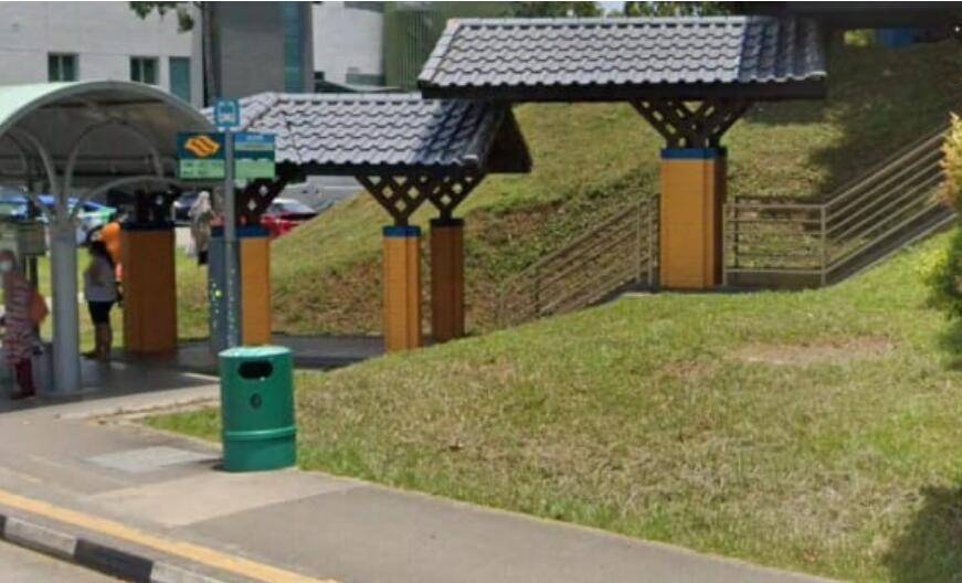 新加坡“素质”被全球“窥见”,网友感叹:素质每况愈下