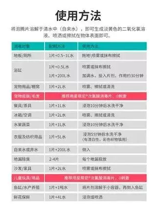 鮮花在熱帶也能養1個月？資深花友新加坡買花、養護大揭秘