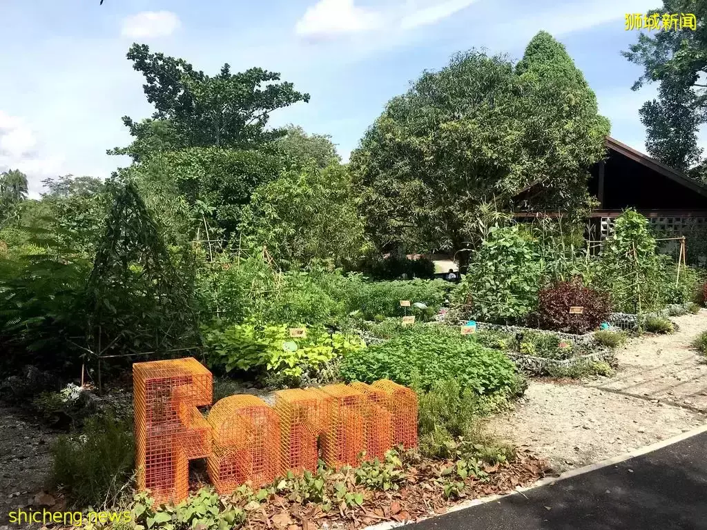 還沒安排4天長假？亞洲最大兒童花園，免費還無需預約