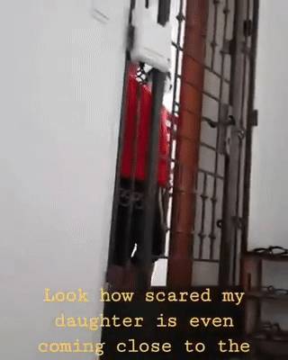 新加坡护士被邻居喷消毒液、骂脏话!加急保护令帮全家解脱