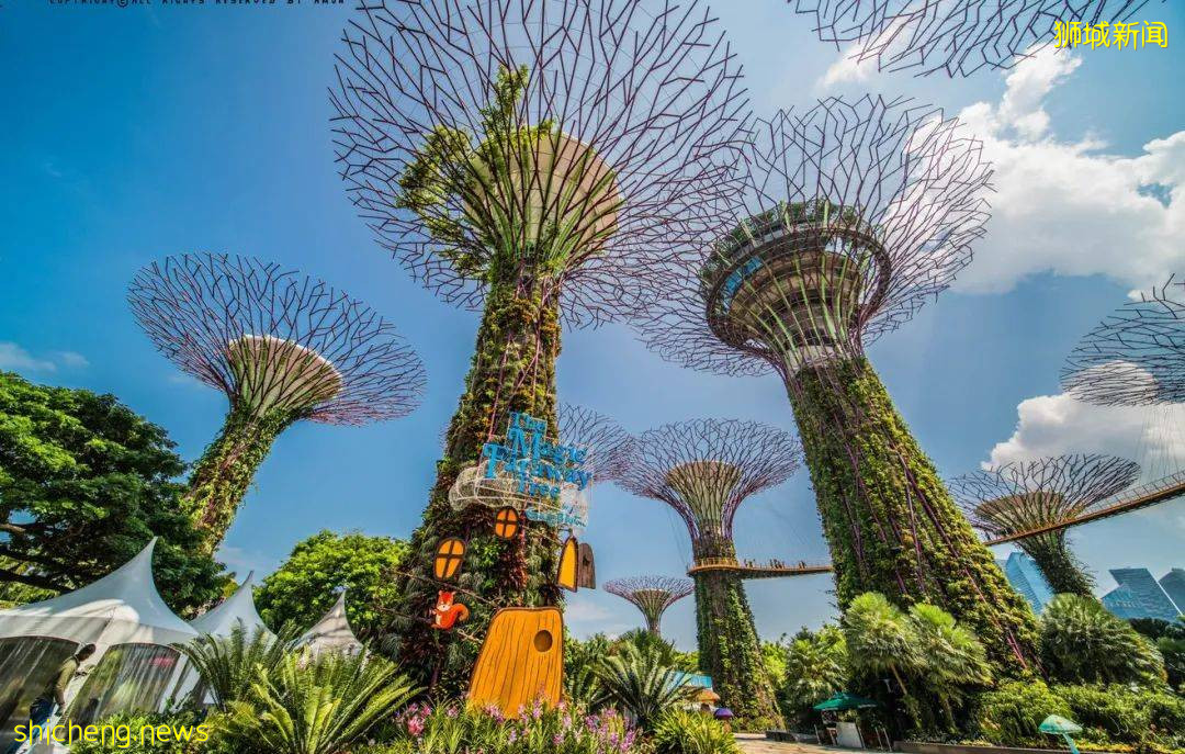 攻略獅城 即刻出發,感受“新”玩法