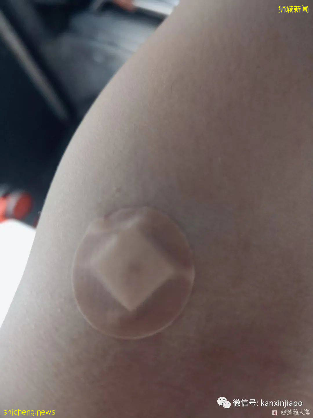 “新加坡,来了15天就想离开的地方”