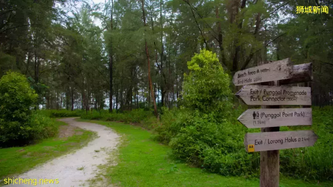 實拍亮燈！2022年“春到河畔”場面宏大，還有這麽多好玩的