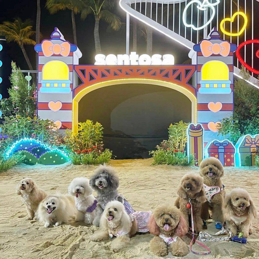 夜貓出遊🔛 10大夜間娛樂活動，開啓嗨皮夜生活！玩轉新加坡密室、保齡球、超夯貨櫃