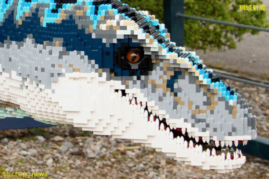 门票6折！一只恐龙有多大？亚洲首个积木恐龙世界，超过60只在新加坡动物园和河川生态园与你捉迷藏