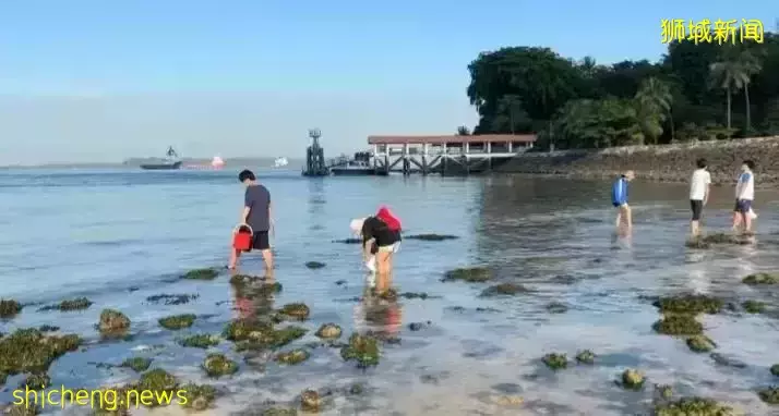 周末时光—魔鬼岛赶海