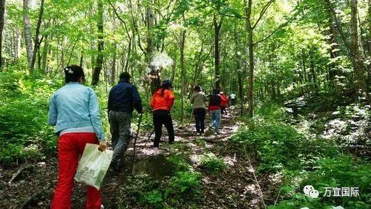 廁所協會會長?!臨床性學家?!美人魚?新加坡這些職業太奇葩啦