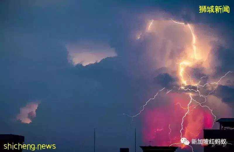 被稱爲全球“閃電之都”的新加坡　半小時內落下40道閃電