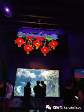 新加坡春节不出门，到这儿就是“出国”啦