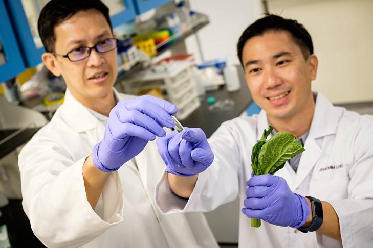 南洋理工大学 2020 官方年度报告