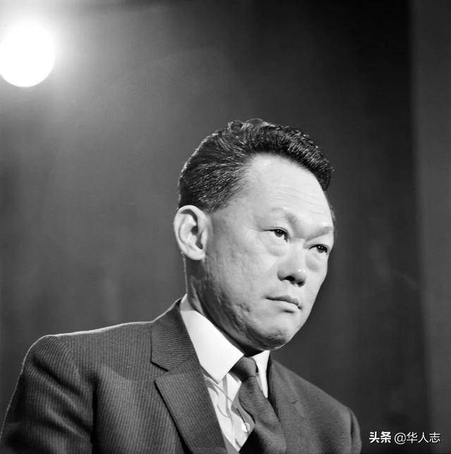 新加坡74%都是華人，爲什麽把英語當成第一語言