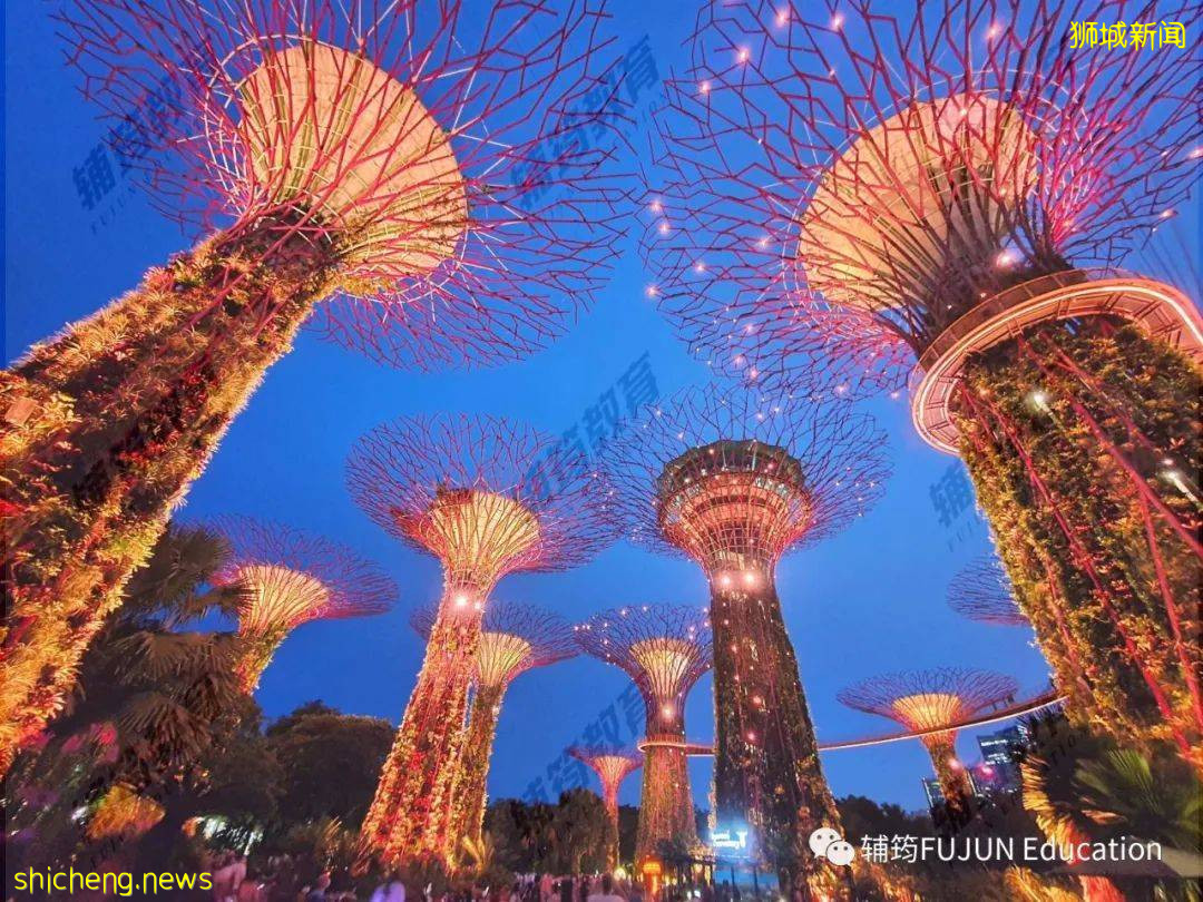 跟着小筠去游玩——新加坡的吃喝玩乐(上篇)