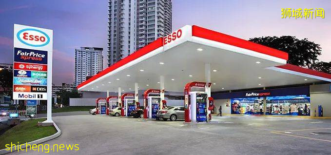 新加坡連續漲價10個月!網友:吃不起菜,買不起房