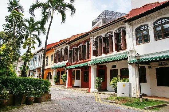 新加坡這處神秘排屋,深夜傳來男女狂歡聲,被警察一窩端