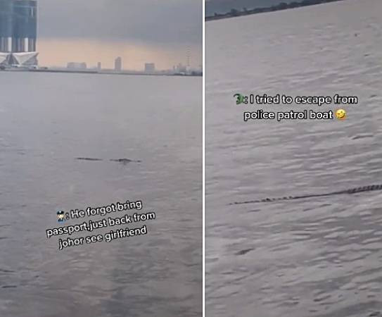 ◤複管令SOP◢ 不用隔離不用申請 鳄魚大哥往返馬新 沒人管!