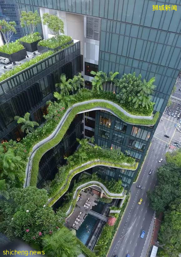 新加坡頂級設計，都在這裏