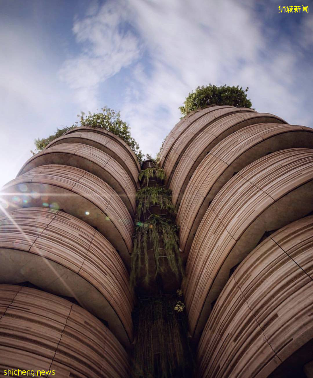 南洋理工大學 Hive 藏在校園裏的“小籠包”