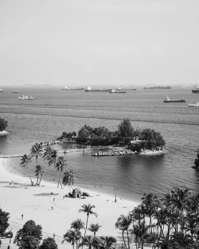 對不起,新加坡變了!“2021年最後一天,我突然想起這50個瞬間”