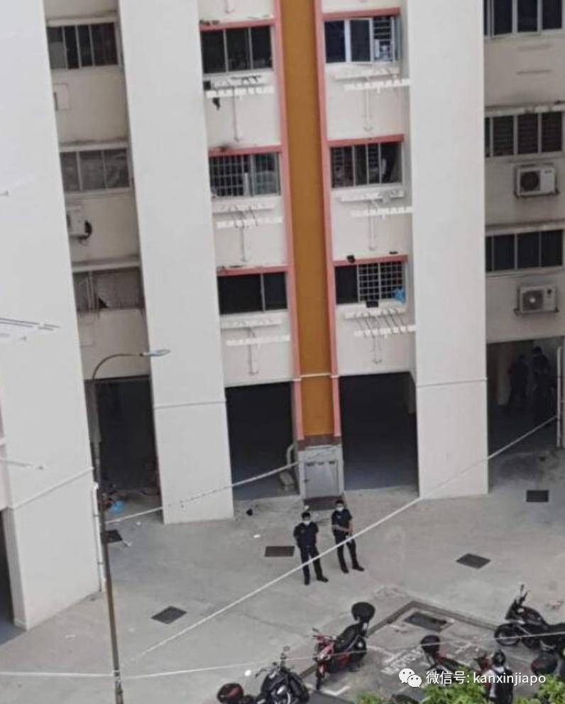 新加坡幼儿园园长遭前夫刺死，外婆白发送黑发抚养三个外孙