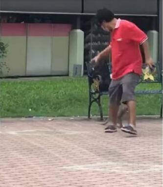 新加坡猴哥大闹地铁口,因购物袋上演“人猴大战”