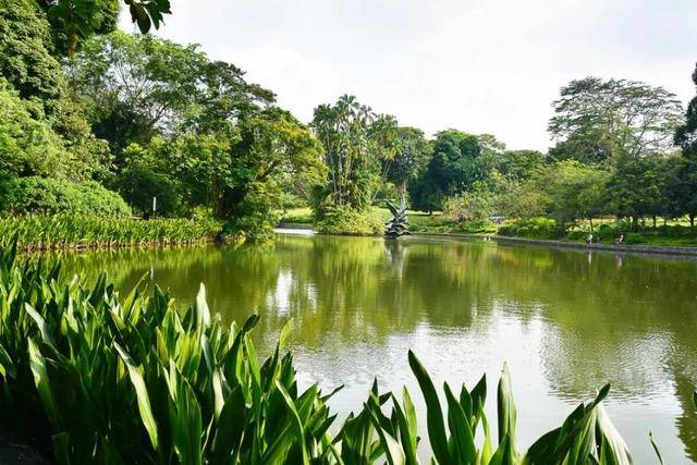 新加坡人对绿色有多着迷?公交车顶种草,大楼里植树,实在绝了