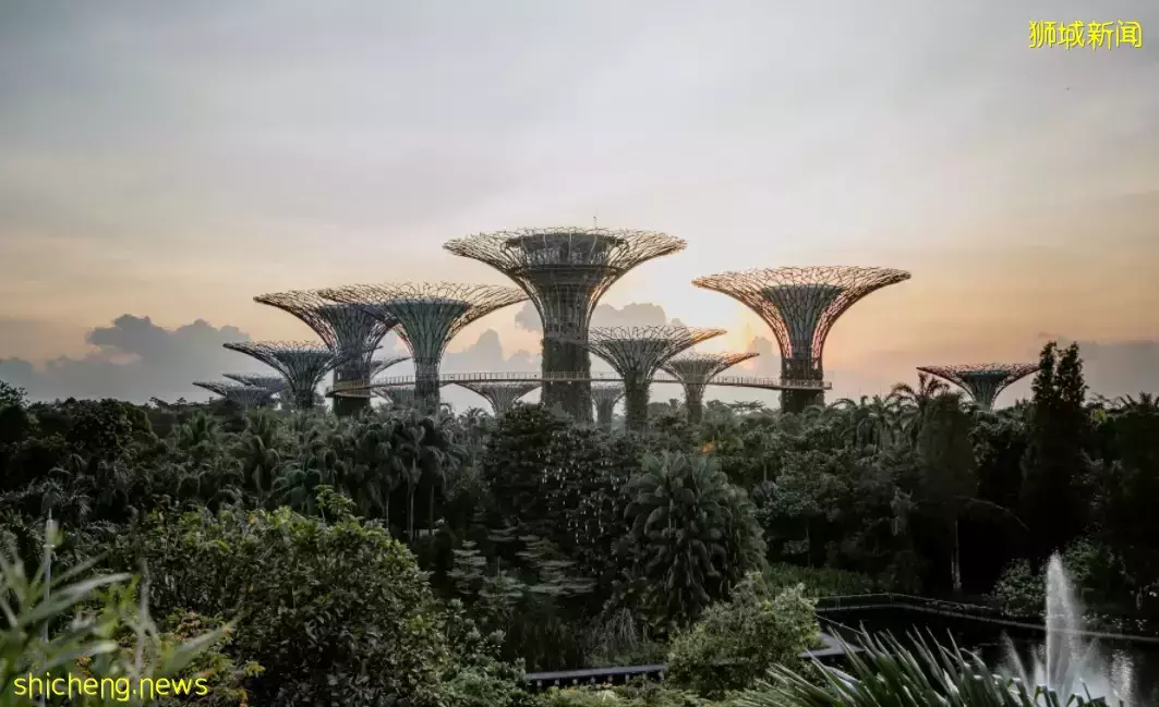 連續16年蟬聯全球最宜居城市!新加坡聚焦生活質量提升——“健康SG”計劃出爐