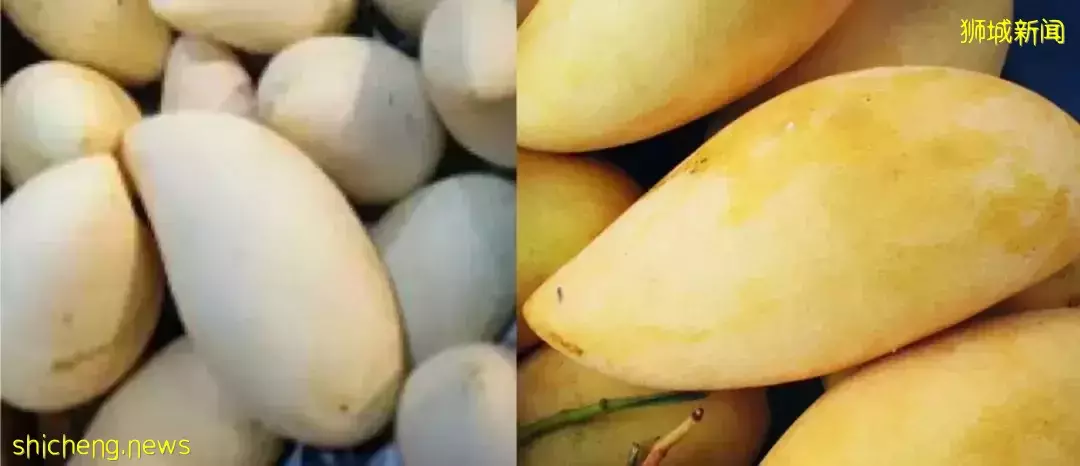 为什么同样的水果摊，你妈买的香甜可口，你买的像得罪了摊主