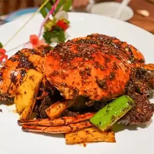 【去看看新加坡】体会不一样的“狮城”风情